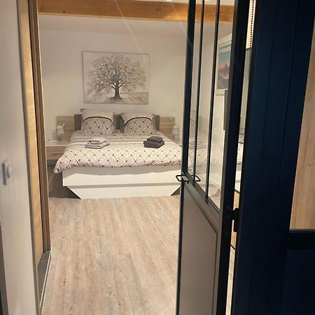 Le Saint Pierre Quartier Historique D'Oloron Sainte Marie Apartment ภายนอก รูปภาพ